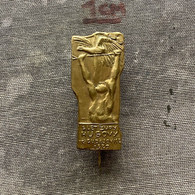 Badge Pin ZN010244 - Gymnastics Sokol Czechoslovakia Zupa Husovy Ceske Budejovice 1927 - Gymnastique