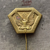 Badge Pin ZN010248 - Gymnastics Sokol Ukraine Hungary Czechoslovakia Zupa Podkarpatska Rus Mukacevo 1928 - Gymnastique