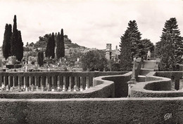 04 Forcalquier Vue Générale Du Cimetière Campo Santo - Forcalquier