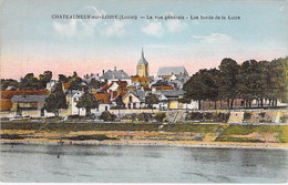 45 - CHATEAUNEUF Sur LOIRE : Vue Générale - Les Bords De La Loire - Jolie CPA Colorisée - Loiret - Autres & Non Classés