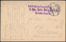 1915 Tábori Posta Képeslap "V.-Res.-Spital Des R. Kreuzes Bodenbach" - Other & Unclassified