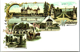 9137 - Deutschland - Moritzburg , Jagdschloss , Hofgarten , Leuchtturm , Reproduktion Einer Lithografie - Nicht Gelaufen - Moritzburg
