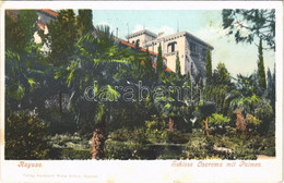 T2/T3 1908 Dubrovnik, Ragusa; Schloss Lacroma Mit Palmen / Kastély és Pálmafák / Castle With Palm Trees. Verlag V. Bernh - Non Classificati