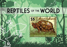 Marshall Islands  2020  Fauna  Reptiles Of The World,  Turtle   I202104 - Marshall