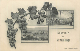 CPA FRANCE 83 "Vidauban, Vues".. - Vidauban