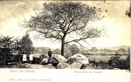 GANDERKESEE - STENUM - Gruss Aus Stenum - Hünengräber Bei Stenum - Ed. A. Von Lobstein, Delmenhorst - Ganderkesee