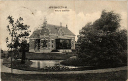 CPA AK APPINGEDAM Villa Te Solwerd NETHERLANDS (706116) - Appingedam