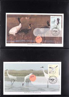 BIRDS OF CHINA AND JAPAN 1965-2006 Thematic Collection Of Covers And Cards Of China And Japan Featuring BIRDS Presented  - Zonder Classificatie