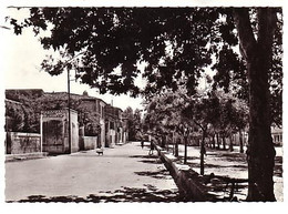 Aimargues - Gard - La Promenade - Circulé 1968 - Non Classés