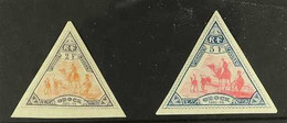 OBOCK 2f And 5f Triangulars (Yvert 60/61, SG 78/79, Scott 60/61) Mint, The 5f With A Small Thin. (2 Stamps) For More Ima - Andere & Zonder Classificatie