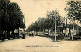 Gevrey Chambertin * La Place Des Marronniers * Villageois - Gevrey Chambertin