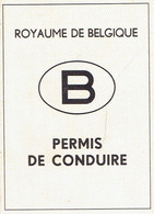 Ancien Permis De Conduire Délivré à La Louvière En 1967 (état Neuf, Jamais Utilisé) - Documents Historiques