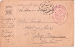 AUSTRIA 1915 - Feldpostkarte Nach Trebinje - Briefe U. Dokumente