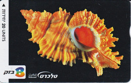 TARJETA DE ISRAEL DE UN CARACOLA (SEA SHELL) - Peces