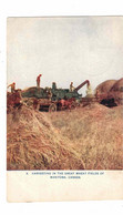 Manitoba, Canada, "Harvesting In The Great Wheat Fields Of Manitoba, Canada", 1908 Postcard - Altri & Non Classificati