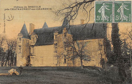 Chateauneuf Sur Charente        16         Château De Breuilh   . Colorisée Et Toilée         (voir Scan) - Chateauneuf Sur Charente