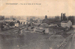 Chateauneuf Sur Charente        16         Vue De La Vallée De Charente       (voir Scan) - Chateauneuf Sur Charente