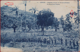 BELGISCH CONGO BELGE - LENGHI - Indigènes Occupés Au Débroussaillement Des Plantations Diverses Natives Clearing Jungle - Congo Belge