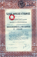 Mines Et Usines à Zinc De Silésie (Pologne) En 1937 - Russia