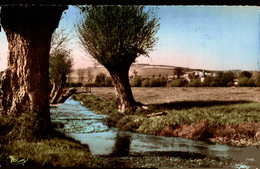 N°10047 Z -cpsm Londinières -les Bords De L'Aulne- - Londinières