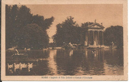 Roma - Laghetto Di Villa Umberto E Tempio D'Esculapio - Parken & Tuinen