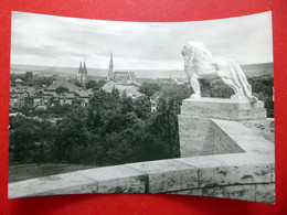 Mühlhausen - Kirche - Löwe - Echt Foto - DDR 1974 - Thüringen - Muehlhausen