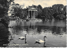 ROMA Villa Borghese Il Laghetto - Parcs & Jardins