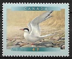 Canada - MNH ** 2001 :   Arctic Tern    Sterna Paradisaea - Seagulls