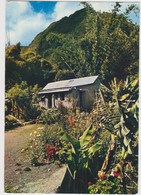 Ile De La Reunion Les Hauts De L'ile - Réunion