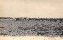 13-TAUREAUX ET CHEVAUX EN CAMARGUE, MONADE DE M. LE MARQUIS DE BARONCELLI - Saintes Maries De La Mer