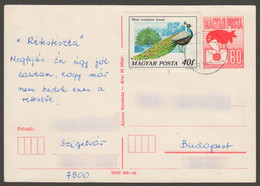 PEACOCK 1977 Indian Peafowl BIRD Pavo Cristatus -  Hungary 1988 STATIONERY Postcard Raven - Corvus Corax - Pfauen