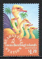 COCOS. N°330 De 1996. Autruche. - Struisvogels