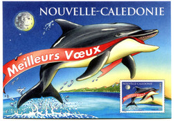 Nouvelle Calédonie - Carte Postale Yvert 14 CP Meilleurs Voeux - R 6213 - Interi Postali