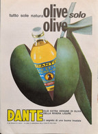1963/69/74 -  DANTE Olio Di Oliva -  7 P.  Pubblicità Cm. 13 X 18 - Manifesti