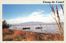 CANET : LE CANIGOU VU DE L'ETANG - Canet En Roussillon