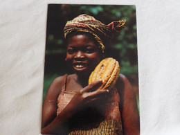 Nigeria Cocoa Pod A 211 - Nigeria