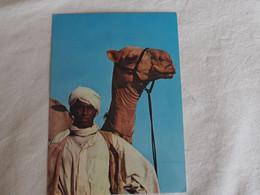 Sudan Camel Shepherd   A 211 - Soudan