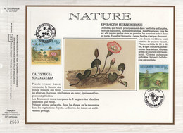 Belgique - CEF N°720 - Nature - 1991-2000