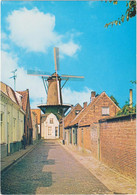 Hulst - Stadsmolen - & Windmill - Hulst