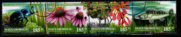 HUNGARY - 2020. SPECIMEN Strip - Hungarian Natural Assets / Dor Beetle / Purple Coneflower / Tatar Maple / Zander Fish - Probe- Und Nachdrucke