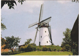 Axel -  Molen Eben Haezer Spui - & Windmill - Axel