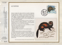 Belgique - CEF N°648 - Faune - Le Putois - 1991-2000