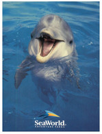 (NN 28) Dauphin - Dolphin (seaworld) - Dauphins