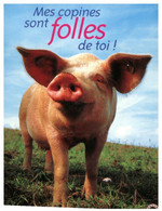 (NN 28) Pigs - Cochons (humour) - Schweine