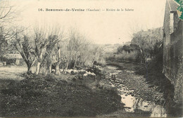 CPA FRANCE 84 "Beaumes De Venise, Rivière De La Salette". - Beaumes De Venise