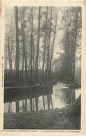 CPA FRANCE 86 "Vouneuil Sur Biard, La Chaussée Du Moulin Au Printemps". - Vouneuil Sous Biard