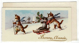 CARTE VOEUX ET BONNE ANNEE- Chats Qui Descendent En Luge Bois Et Lanterne. - Neujahr