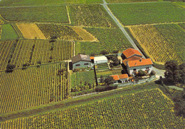 69 - Gleizé - Les Grand'Maisons - "Domaine De Vauxonne" - Vue Aérienne - Gleize