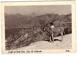 Golfe De Porto - Dans Les Calanches - Garçon Avec Un âne - Circulé 1953 éd. René Périgueux - Non Classés