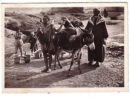 Marrakech - Porteur D'eau - âne - Circulé 1955 - Cim N°291 - Marrakech